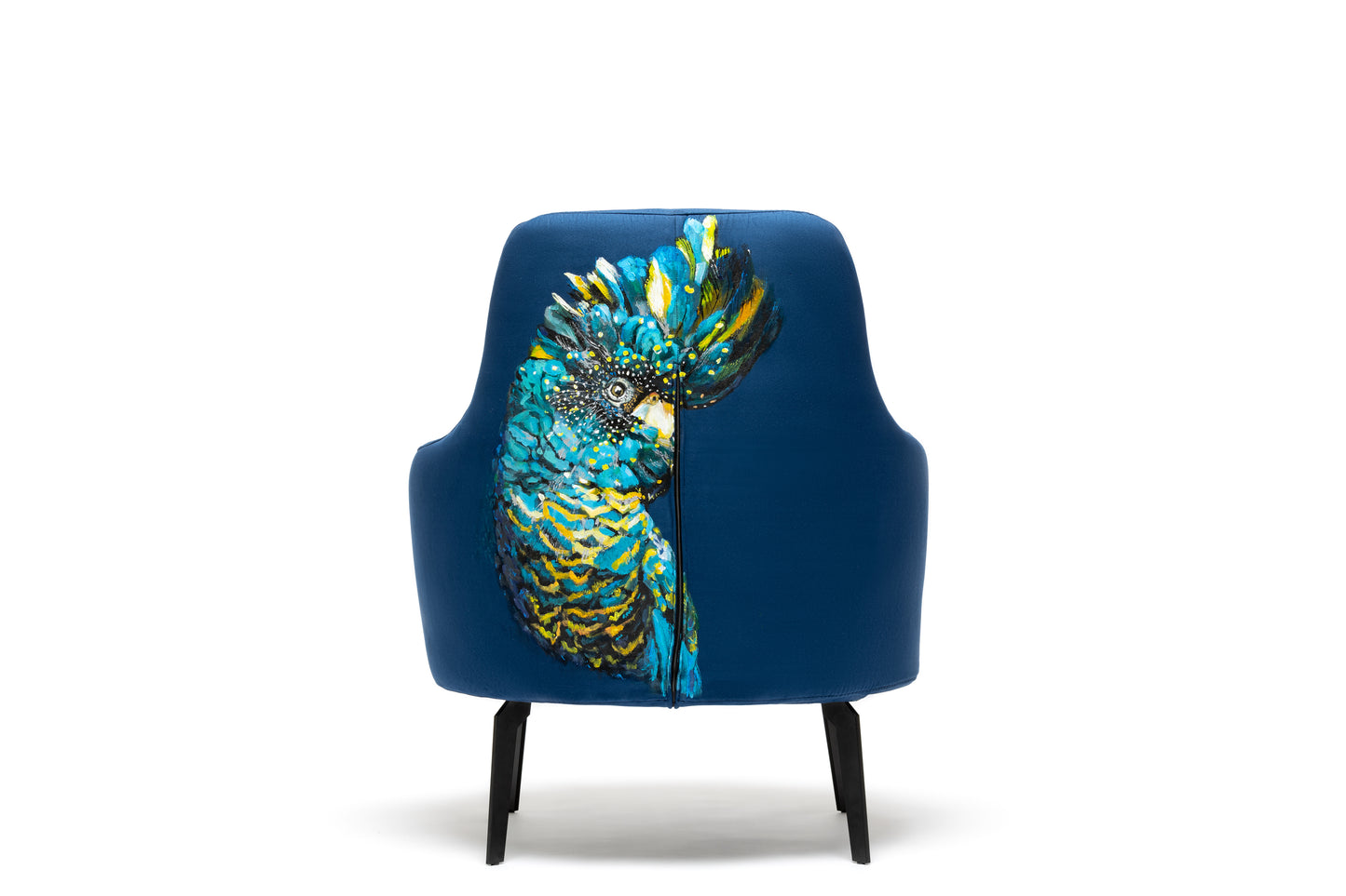 Minkštas fotelis "Pažiba"